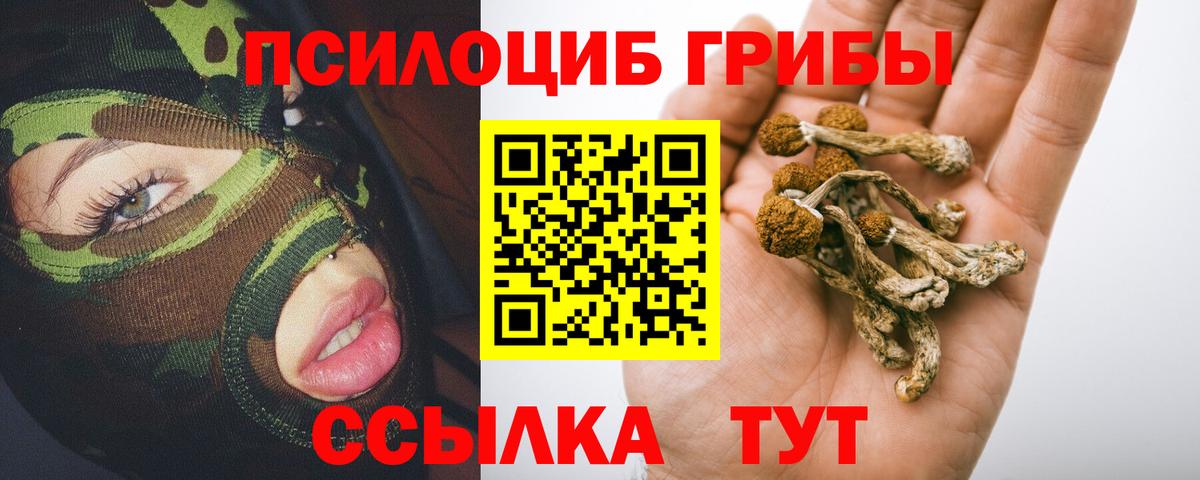 Галлюциногенные грибы мухоморы Верхняя Пышма